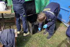 IMG-20260920-WA0265