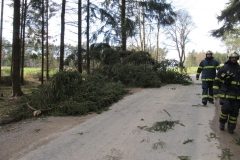 2015_04_01_TP_Jaromerice-01