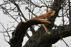 2015_04_08_DN_Jaromerice-09