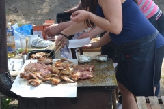 2015_04_25_vitani_jara-02