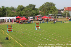 2015_05_29_okresni_kolo_PS_Jaromerice-10