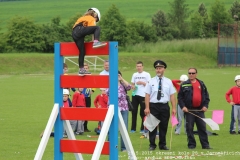 2015_05_29_okresni_kolo_PS_Jaromerice-130