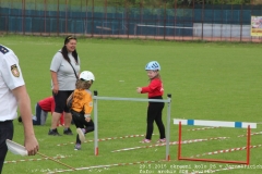 2015_05_29_okresni_kolo_PS_Jaromerice-131