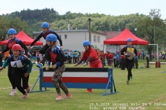 2015_05_29_okresni_kolo_PS_Jaromerice-133