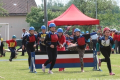 2015_05_29_okresni_kolo_PS_Jaromerice-155
