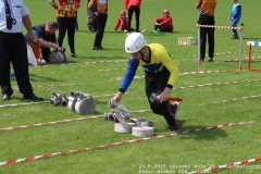2015_05_29_okresni_kolo_PS_Jaromerice-165