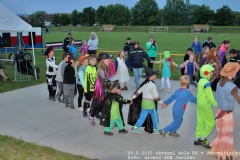 2015_05_29_okresni_kolo_PS_Jaromerice-184