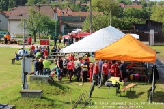 2015_05_29_okresni_kolo_PS_Jaromerice-264
