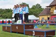 2015_05_29_okresni_kolo_PS_Jaromerice-307