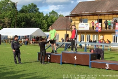 2015_05_29_okresni_kolo_PS_Jaromerice-331