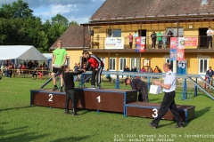 2015_05_29_okresni_kolo_PS_Jaromerice-332