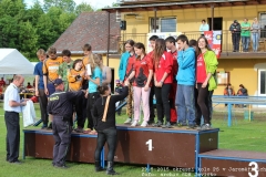 2015_05_29_okresni_kolo_PS_Jaromerice-342