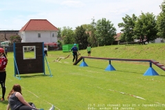 2015_05_29_okresni_kolo_PS_Jaromerice-504