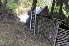2015_07_23_TP_smolna_strom-06