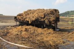2015_08_06_pozar_Lazy-15