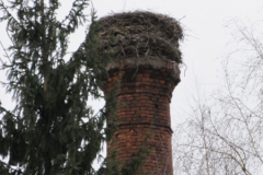 2015.3.31. ZOČ kontrola čapího hnízda