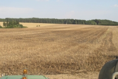 2015_08_09_pozar_brtov-11