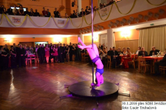 2016_01_30_ples_sdh_jevicko-22