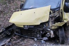 2016_03_21_DN_Z_Arnostov_Krenov-07