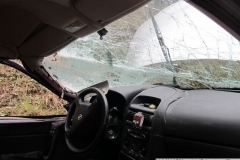 2016_03_21_DN_Z_Arnostov_Krenov-12