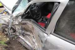 2016_03_21_DN_Z_Arnostov_Krenov-13