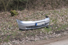 2016_03_21_DN_Z_Arnostov_Krenov-15