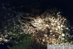 2019_08_21_TP_Biskupice-01