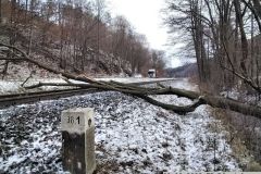 22.12.2023 TP Březinky