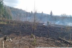 2026_03_22_pozar_M_Trnavka-07