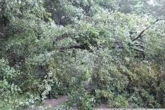 22. 6. 2024 TP Zadní Arnoštov