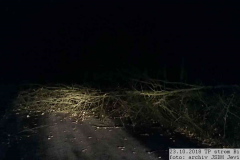 23.10.2018 TP Biskupice - strom