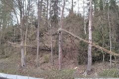 23.3.2024 TP Jevíčko