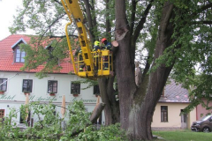 23.5.2020 TP Jevíčko