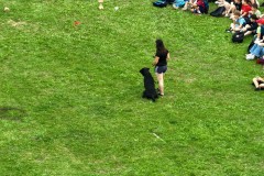 DJI_20250623100103_0014_Z