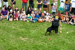 DJI_20250623100129_0015_Z