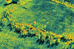 DJI_20250623100544_0027_T