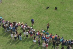DJI_20250623100544_0027_Z