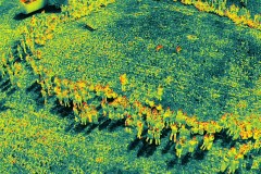 DJI_20250623100545_0028_T