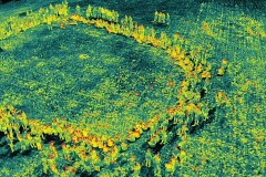 DJI_20250623100621_0029_T