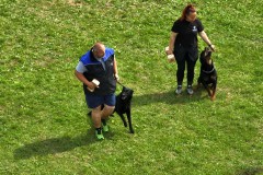 DJI_20250623100637_0032_Z