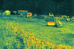 DJI_20250623112023_0058_T