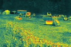 DJI_20250623112028_0059_T