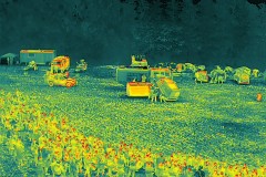 DJI_20250623112052_0063_T