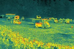 DJI_20250623112057_0065_T