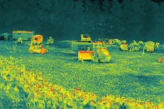 DJI_20250623112101_0066_T