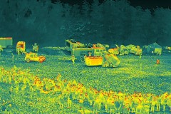 DJI_20250623112117_0068_T