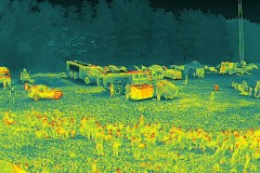 DJI_20250623112125_0070_T
