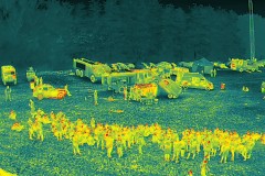 DJI_20250623113241_0102_T