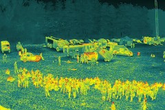DJI_20250623113242_0103_T
