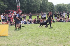IMG_5793